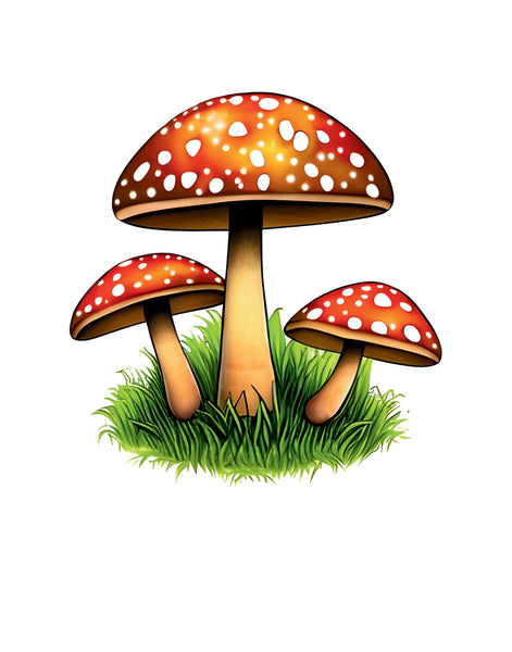 Unveiling the mystic world of Mushrooms